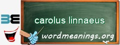 WordMeaning blackboard for carolus linnaeus